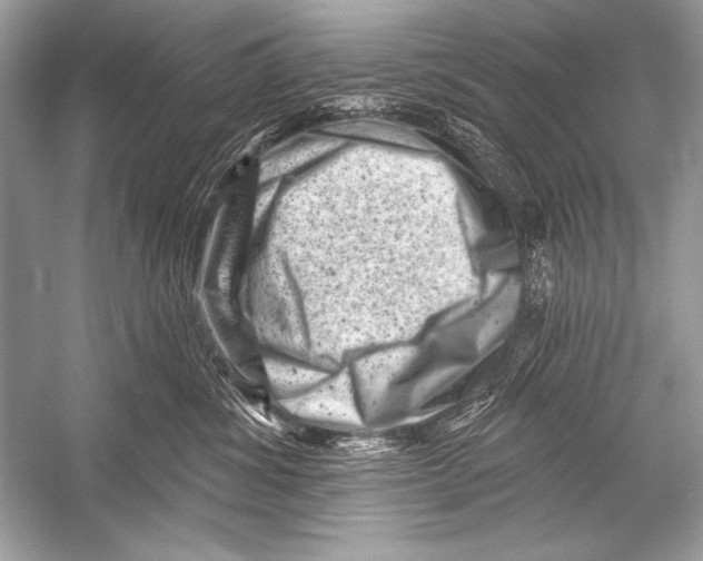 X0000051860428200507221902