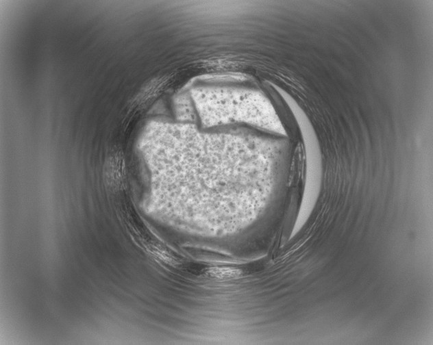 X0000051860429200507221902