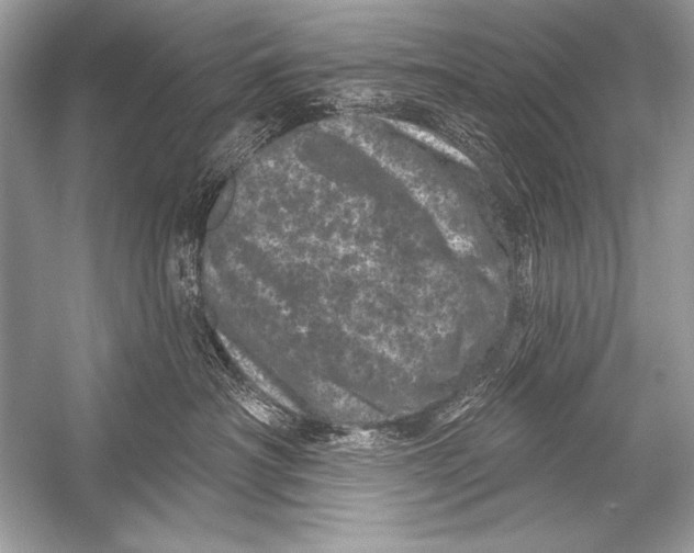 X0000051860430200507221902