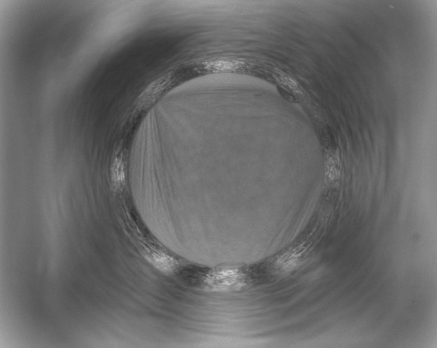 X0000051860431200507221902