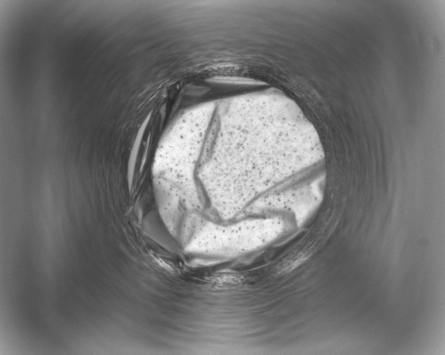 X0000051860432200507221902