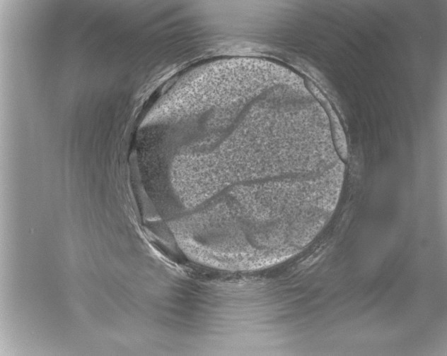 X0000051860433200507221901