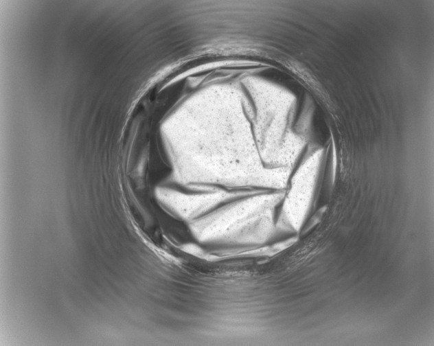 X0000051860438200507221901