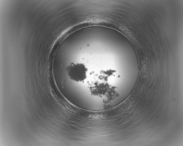 X0000051860440200507221901