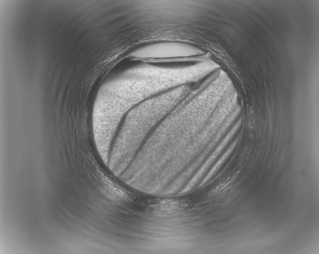 X0000051860441200507221901