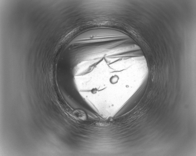 X0000051860442200507221901