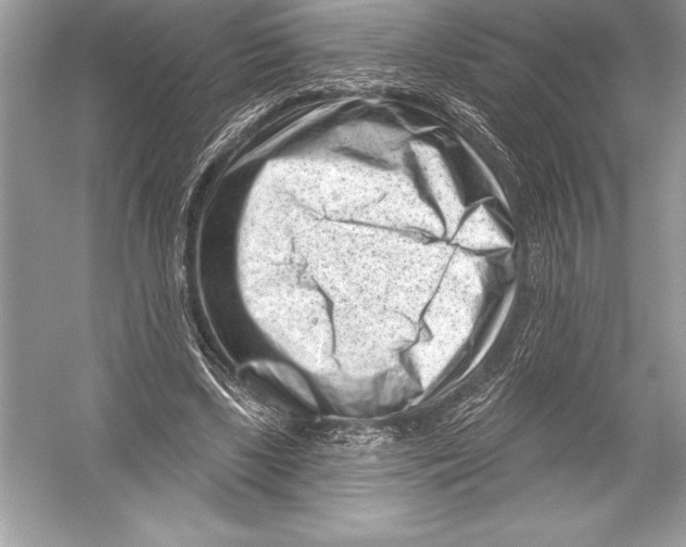 X0000051860443200507221901