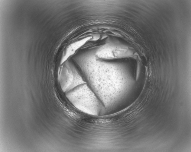 X0000051860444200507221901