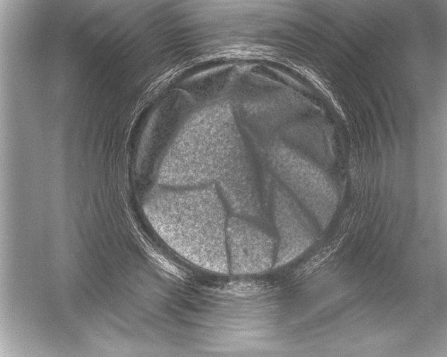 X0000051860445200507221901