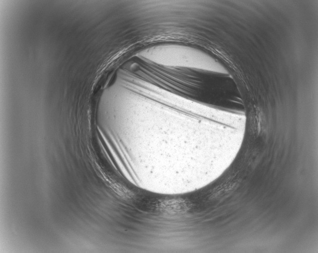 X0000051860446200507221901