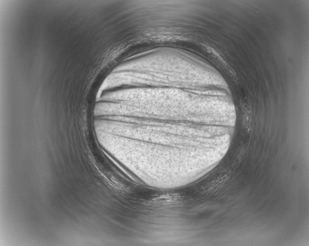 X0000051860447200507221901