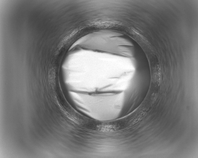 X0000051860448200507221901