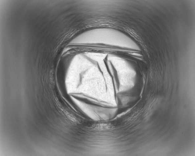 X0000051860449200507221901