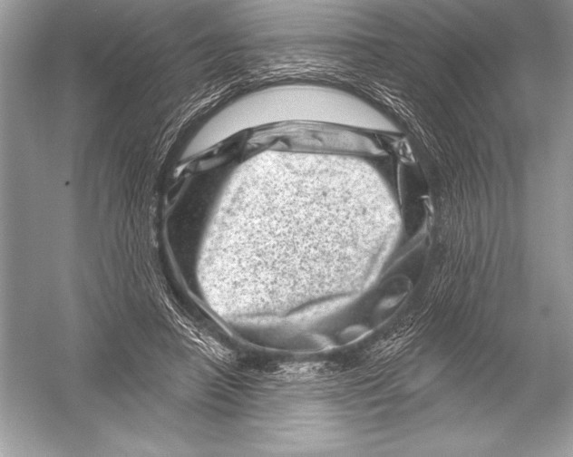 X0000051860450200507221901