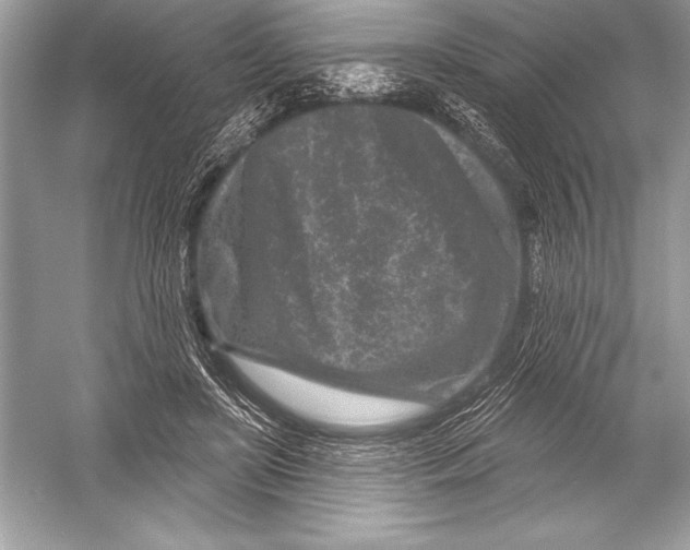 X0000051860451200507221901