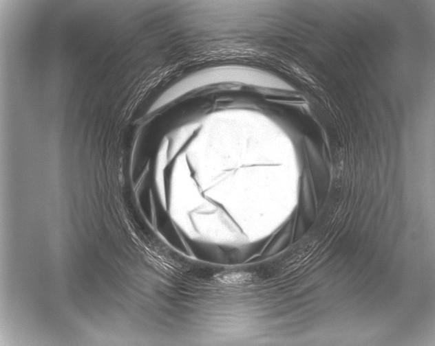 X0000051860452200507221901