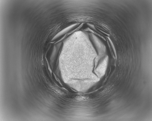 X0000051860453200507221901