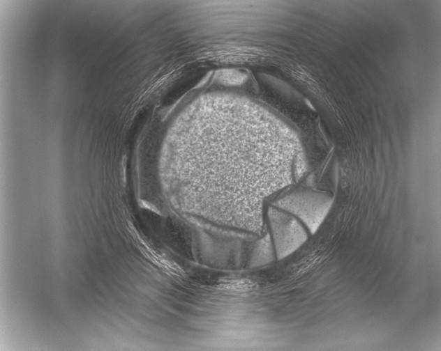 X0000051860454200507221901