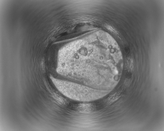 X0000051860457200507221901