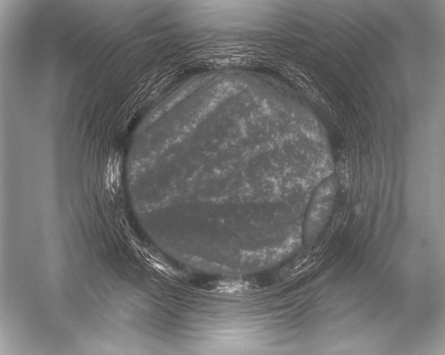 X0000051860458200507221901