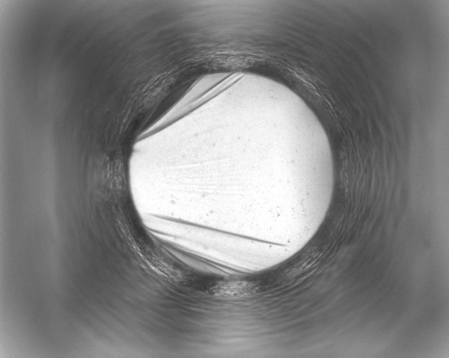 X0000051860459200507221901