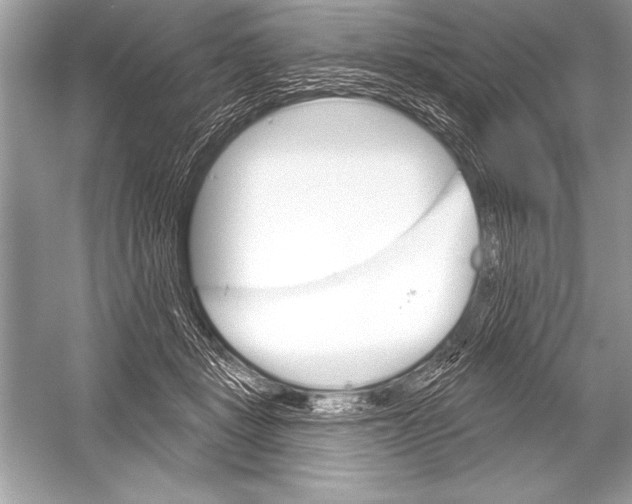 X0000051860461200507221901