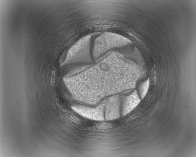 X0000051860463200507221901