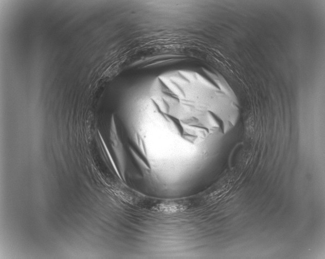 X0000051860464200507221901