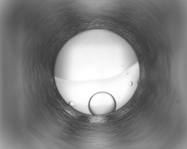 X0000051860465200507221901