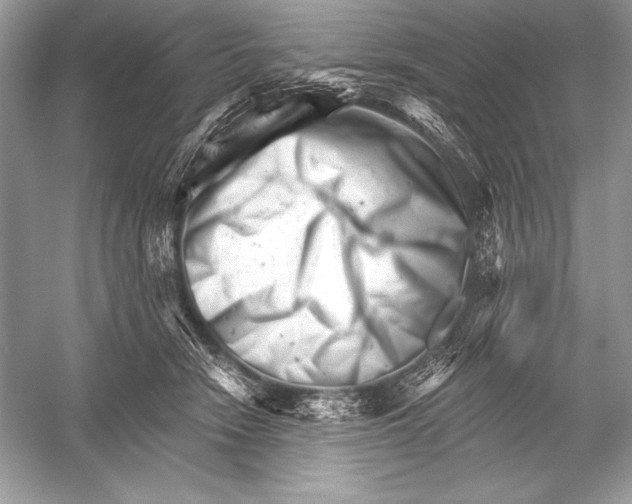 X0000051860466200507221901