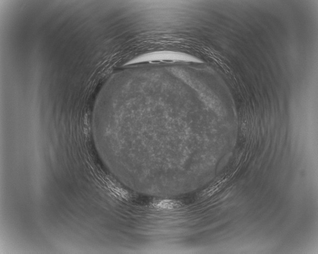 X0000051860467200507221901