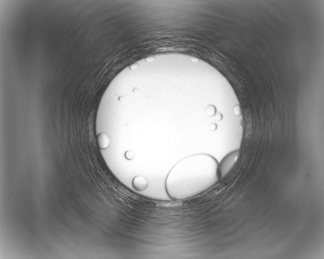 X0000051860469200507221901