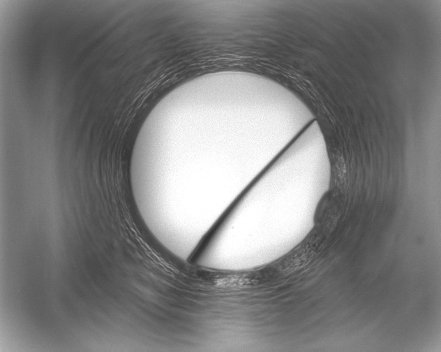 X0000051860470200507221901