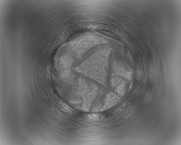 X0000051860473200507221901