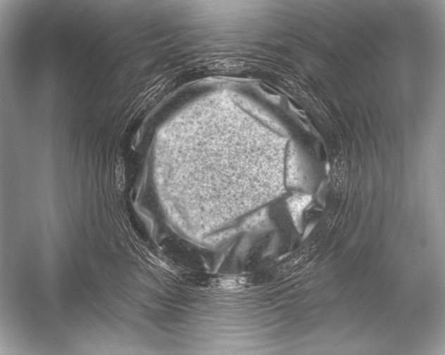 X0000051860474200507221901