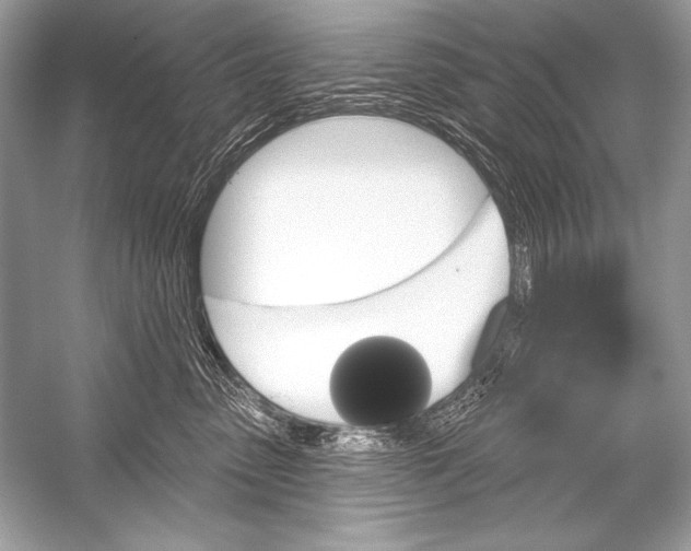 X0000051860475200507221902