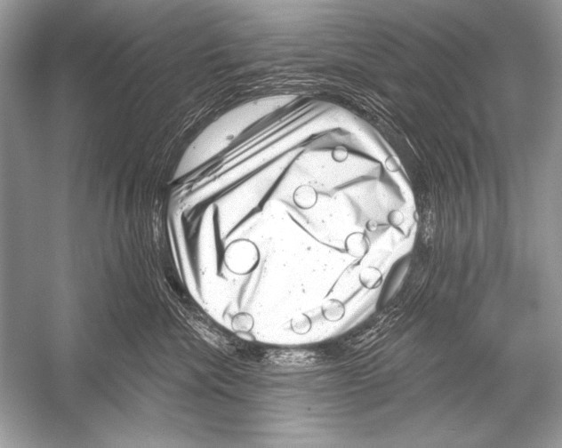 X0000051860476200507221902