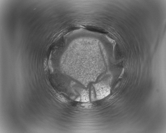 X0000051860478200507221902