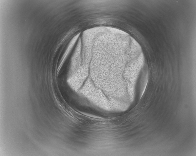 X0000051860482200507221901