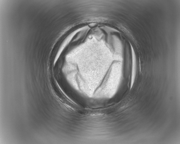 X0000051860483200507221901