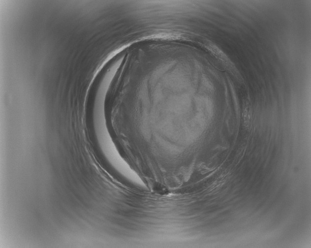 X0000051860484200507221901