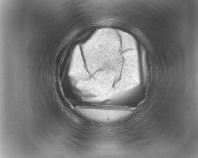 X0000051860486200507221901