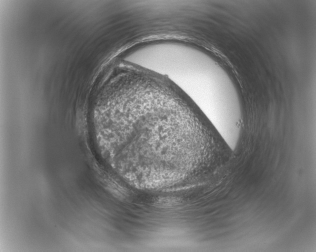 X0000051860487200507221901