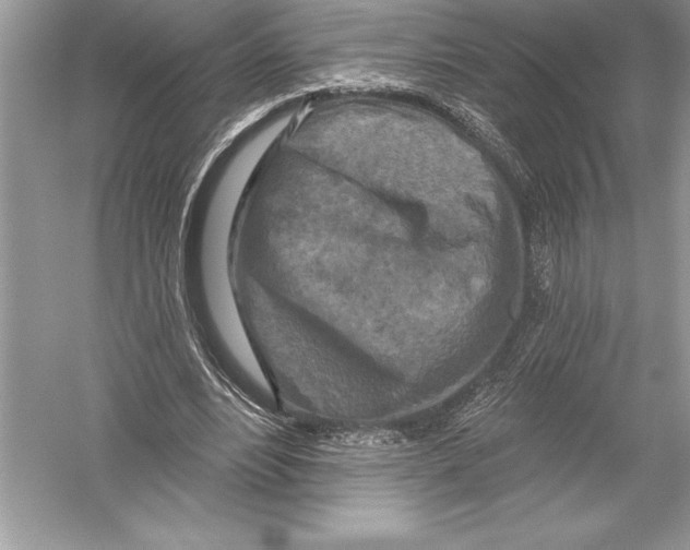 X0000051860488200507221901