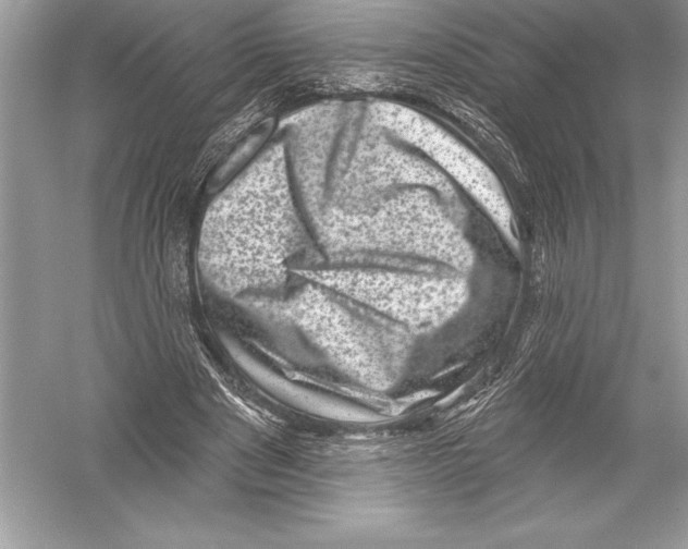 X0000051860489200507221901