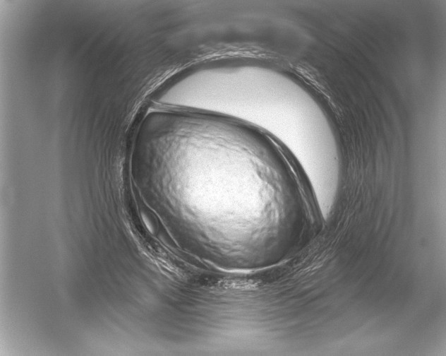 X0000051860491200507221901