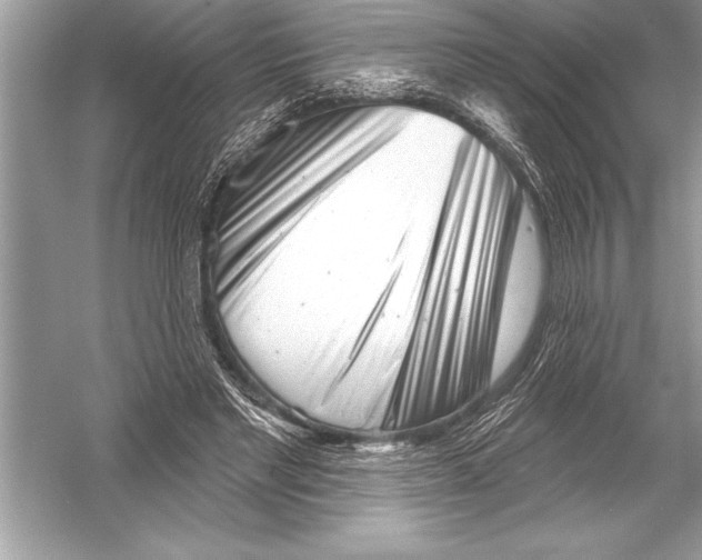 X0000051860493200507221901