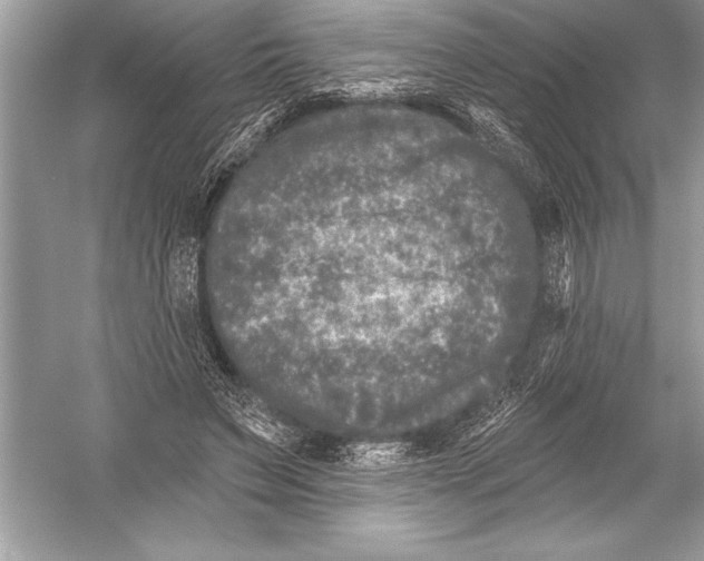 X0000051860495200507221901