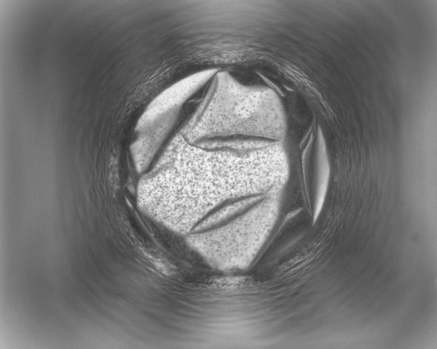 X0000051860497200507221900