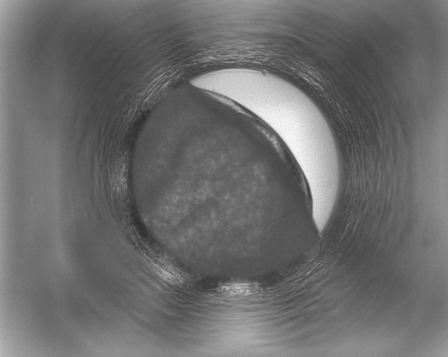 X0000051860499200507221900